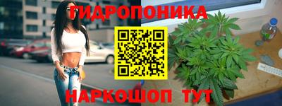 амф Рыбинск