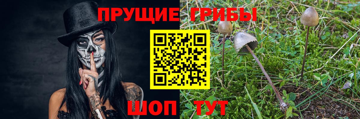 Псилоцибиновые грибы мицелий  Вход с VPN  Россошь 
