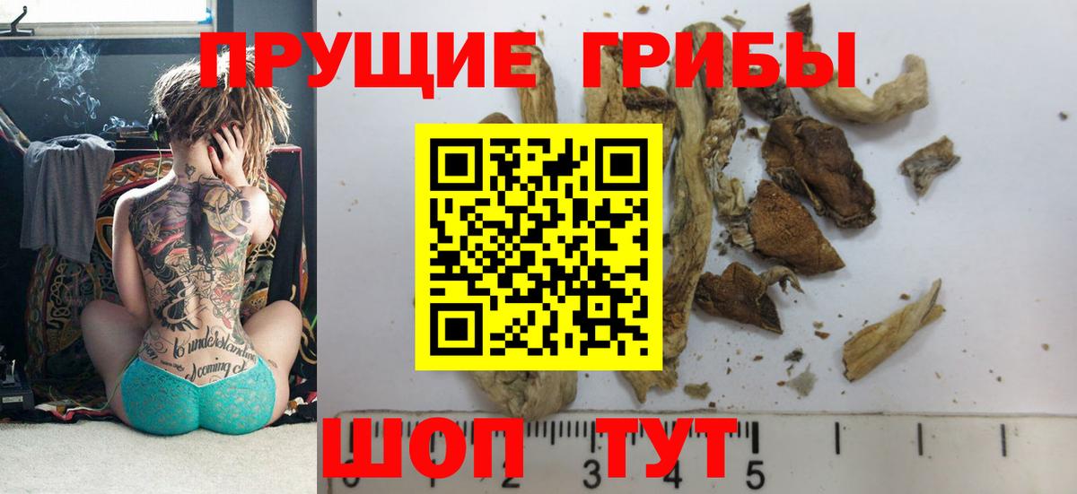 Галлюциногенные грибы Cubensis Россошь