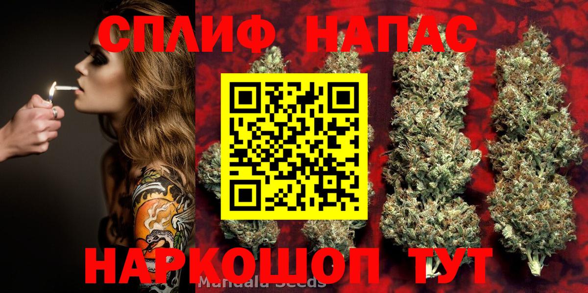 Бошки Шишки AK-47 Россошь